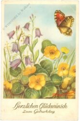 geburtstag: blumenwiese mit schmetterling