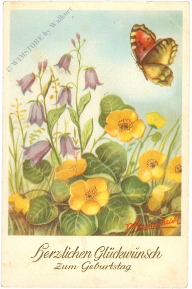 geburtstag: blumenwiese mit schmetterling geburtstag: blumenwiese mit schmetterling