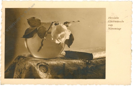 namenstag: rose in kugelvase