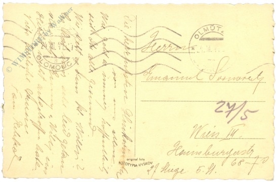 namenstag: rose in kugelvase