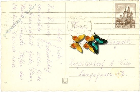 namenstag: floristin mit ihrem laden