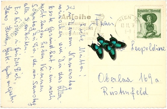 namenstag: tulpenstrauß