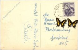 namenstag: nelken namenstag: nelken