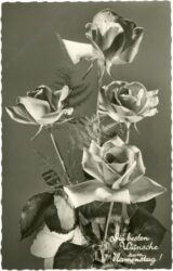 namenstag: rosen namenstag: rosen