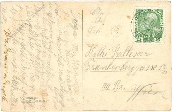 namenstag: veilchen und glücksklee