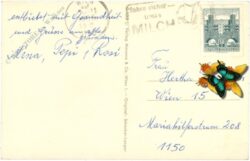 namenstag: wiesenblumen strauß