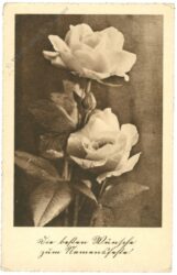 namenstag: zwei rosen