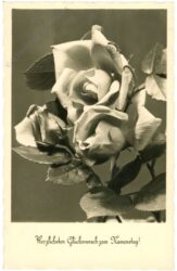 namenstag: rosenblüten