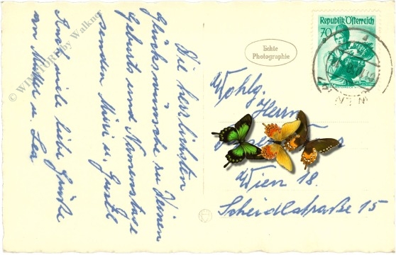 namenstag: rosenblüten