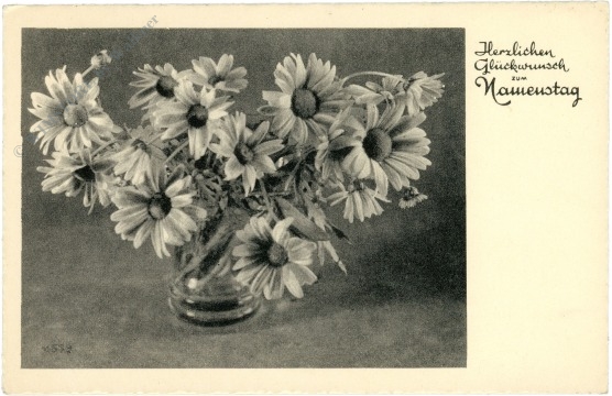 namenstag: margeriten