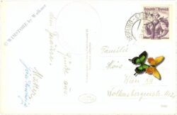 admont, buchsteinhütte, blick vom hüttensattel gegen admont