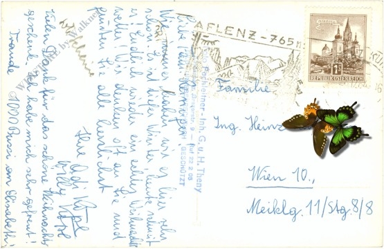 aflenz, bürgeralm, blick v. schönleitengipfel