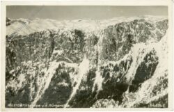 aflenz, mitteralpe v.d. bürgeralpe