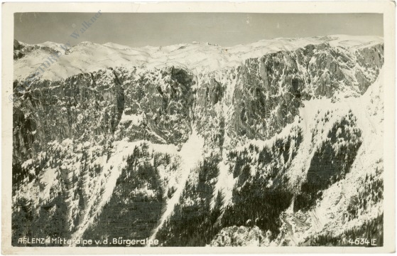 aflenz, mitteralpe v.d. bürgeralpe