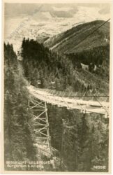 aflenz, bürgeralm, seilbrücke, sessellift