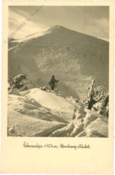 altenberg an der rax, schneealpe, sternhang abfahrt