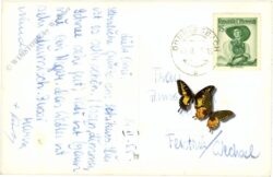 donnersbachwald, mörsbachhütte