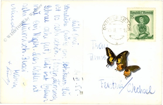 donnersbachwald, mörsbachhütte