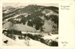 donnersbachwald, ansicht