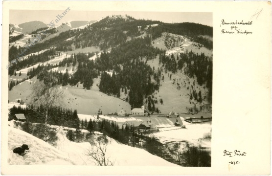 donnersbachwald, ansicht