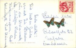 edelschrott, ortsansicht