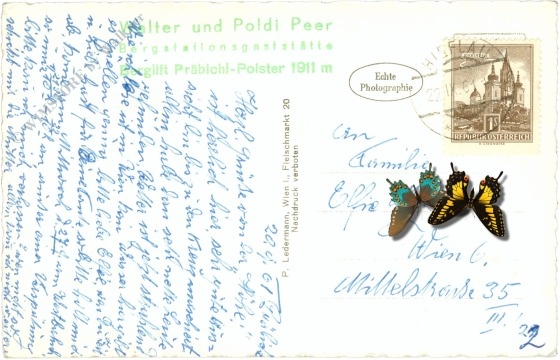 eisenerz, gipfelkreuz am polster mit erzberg