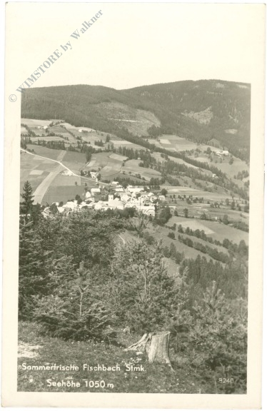 fischbach, ortsansicht