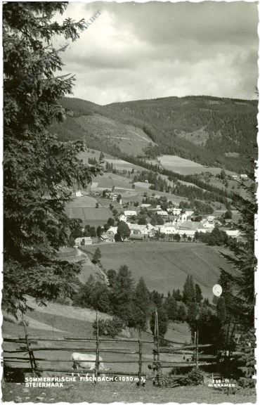 fischbach, ortsansicht