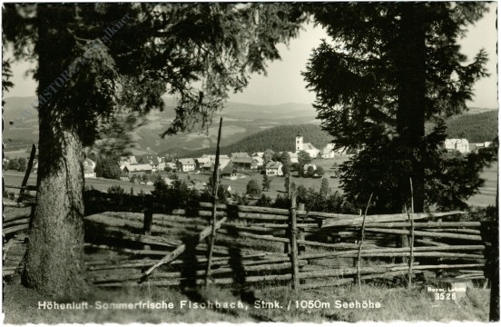fischbach, ortsansicht