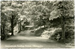 friedberg, bärengraben