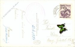 gesäuse, buchsteinhütte mit gr. buchstein