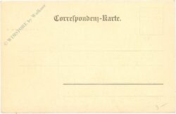 graz, waldlilie im stadtpark