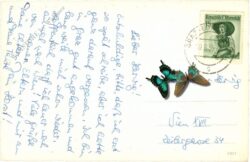 graz, mur und schlossberg