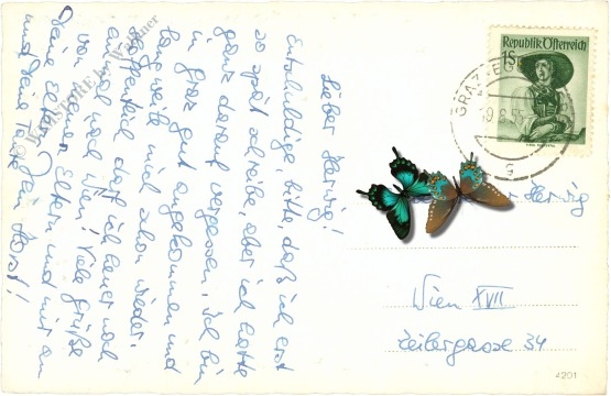 graz, mur und schlossberg