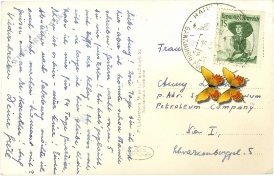 haus, gondelbahn zur krummholzhütte am hauser kaibling