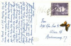 hochschwab, blick v.d. windgrube gegen hochschwabgruppe