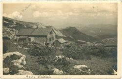 hohe veitsch, graf meranhaus