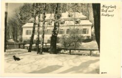 krieglach, park mit forsthaus