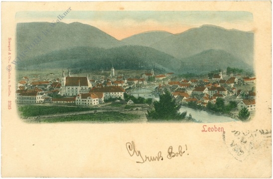 leoben, ortsansicht