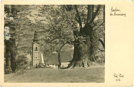 leoben, am massenberg