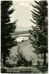 mönichwald, alpengasthof und pension spitzbauer