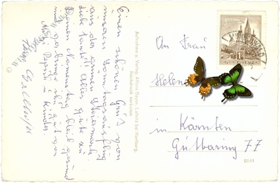 mönichwald, alpengasthof und pension spitzbauer