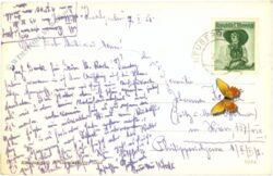 neuberg an der mürz, krampen, karlgraben