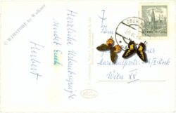 oberwölz, ortsansicht