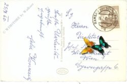 ramsau, mit dachstein