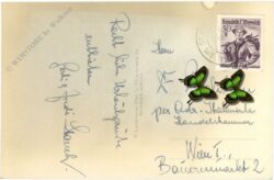 rettenegg, skiabfahrt zum lechnerhaus, stuhleck