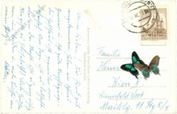 rohrbach an der lafnitz, zellbrücke