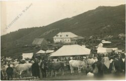 salla, stubalpe, klaramarkt