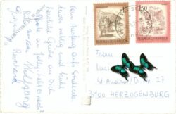 steinhaus am semmering, alois güntherhaus, stuhleck