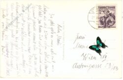 stubenberg, bundessportschule schielleiten